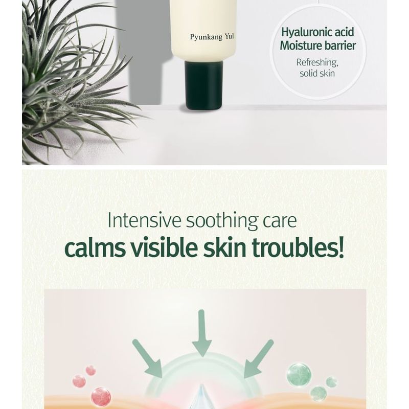 Pyunkang Yul Calming Madecasoside Spot Cream
