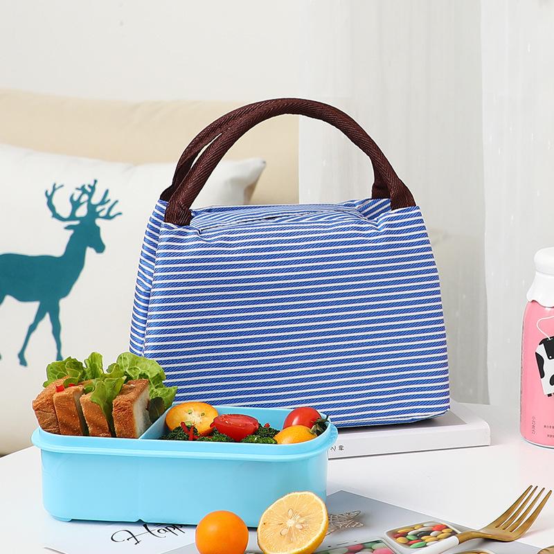 Insulated Bento Lunch Bag with Lunch Box Storage for Work, School, or Street Vendors