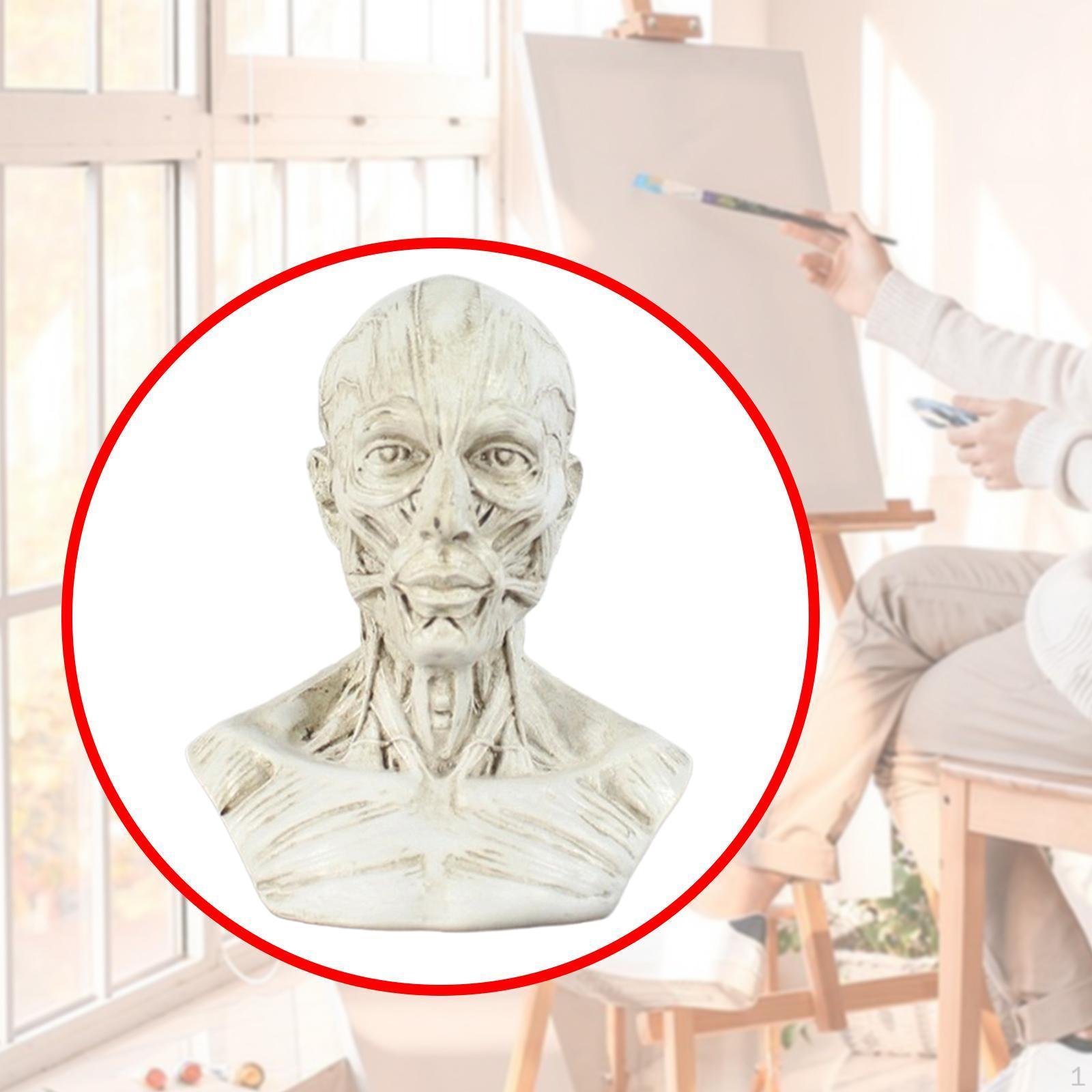 

Коллекционная фигурка в анатомической форме с изображением головы, декоративная скульптура статуи