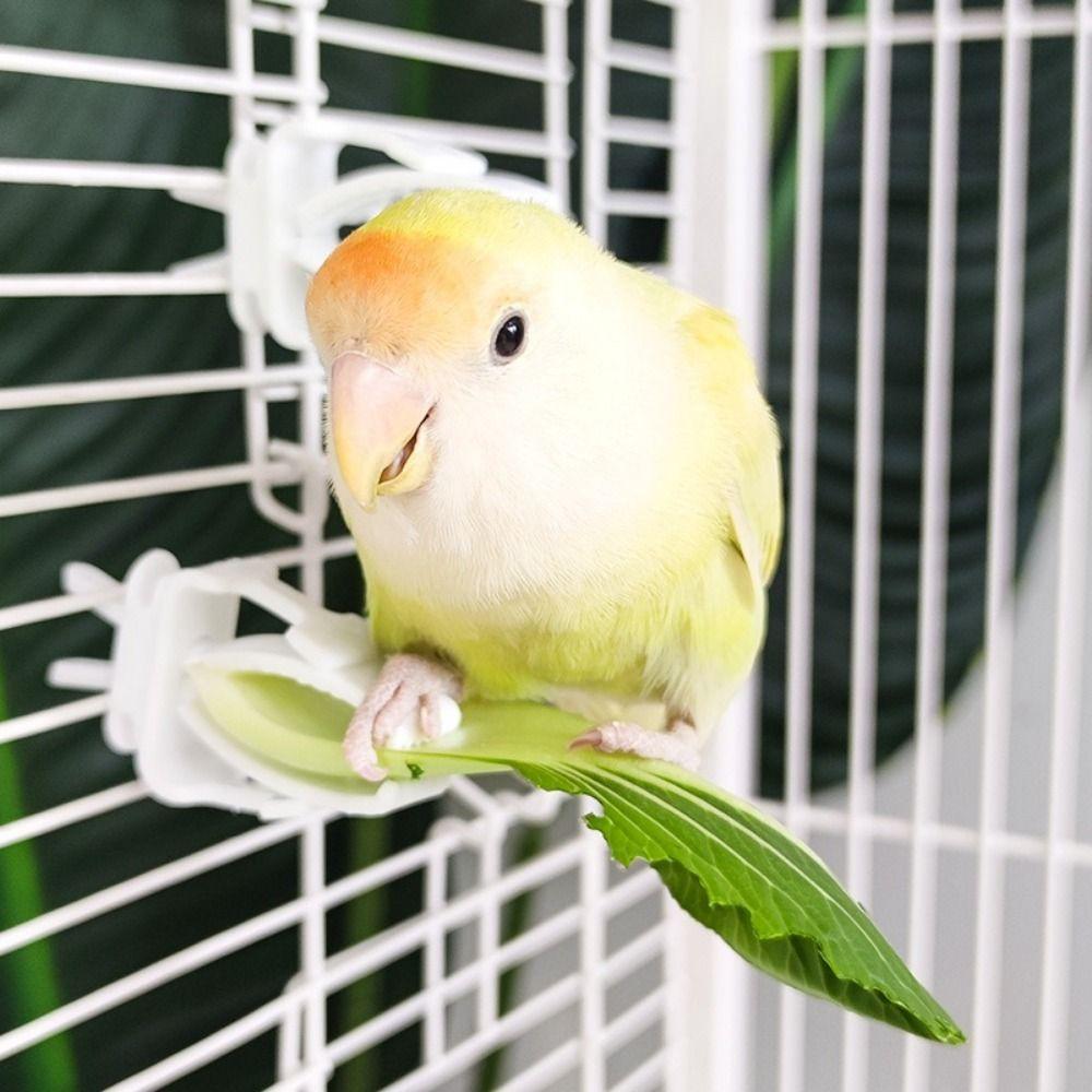 6Pcs Plastic Pet Bird Food Clip Portable Practical Parrot Fruit Vegetable Clip Mini Birds Food Holder Pet Parrot Feeding