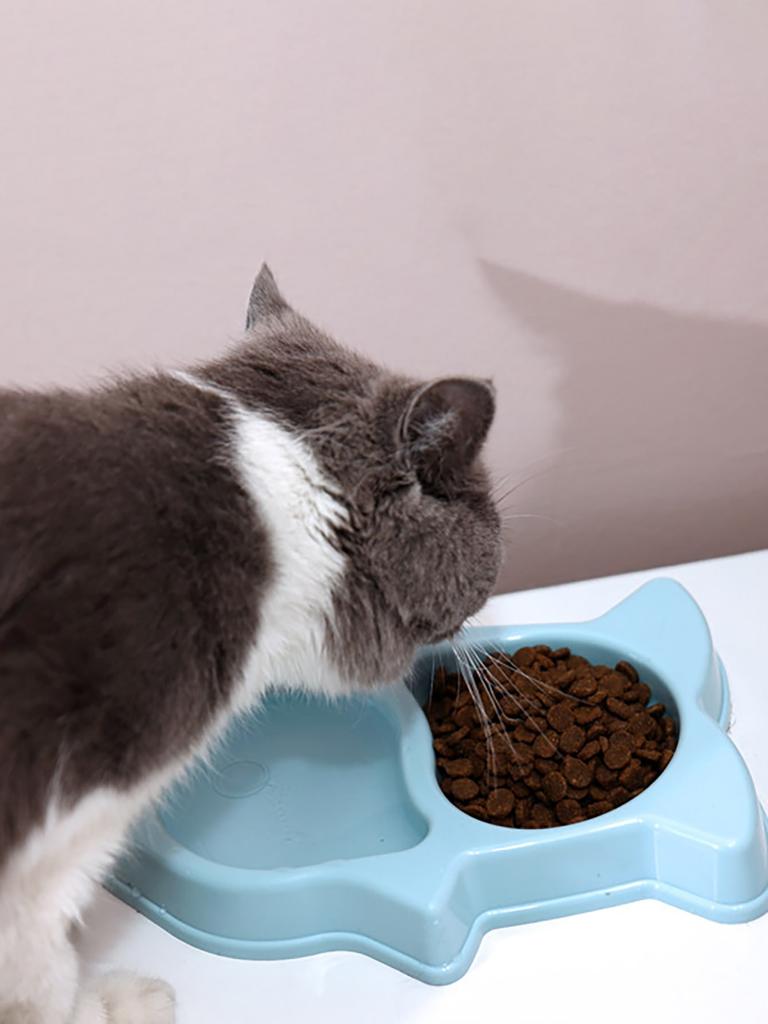 1 szt.-Miska na karmę dla zwierząt z miską z przegródką antypoślizgowa, miska do karmienia zwierząt odpowiednia dla małych i średnich psów i kotów