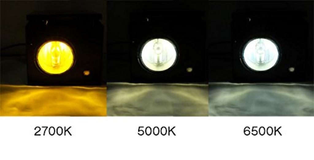 SMART LED Conversion Fog Bulb 2 6500k with Canceller H8/11/16 (Imported Car) Built-in (LEDCB24)