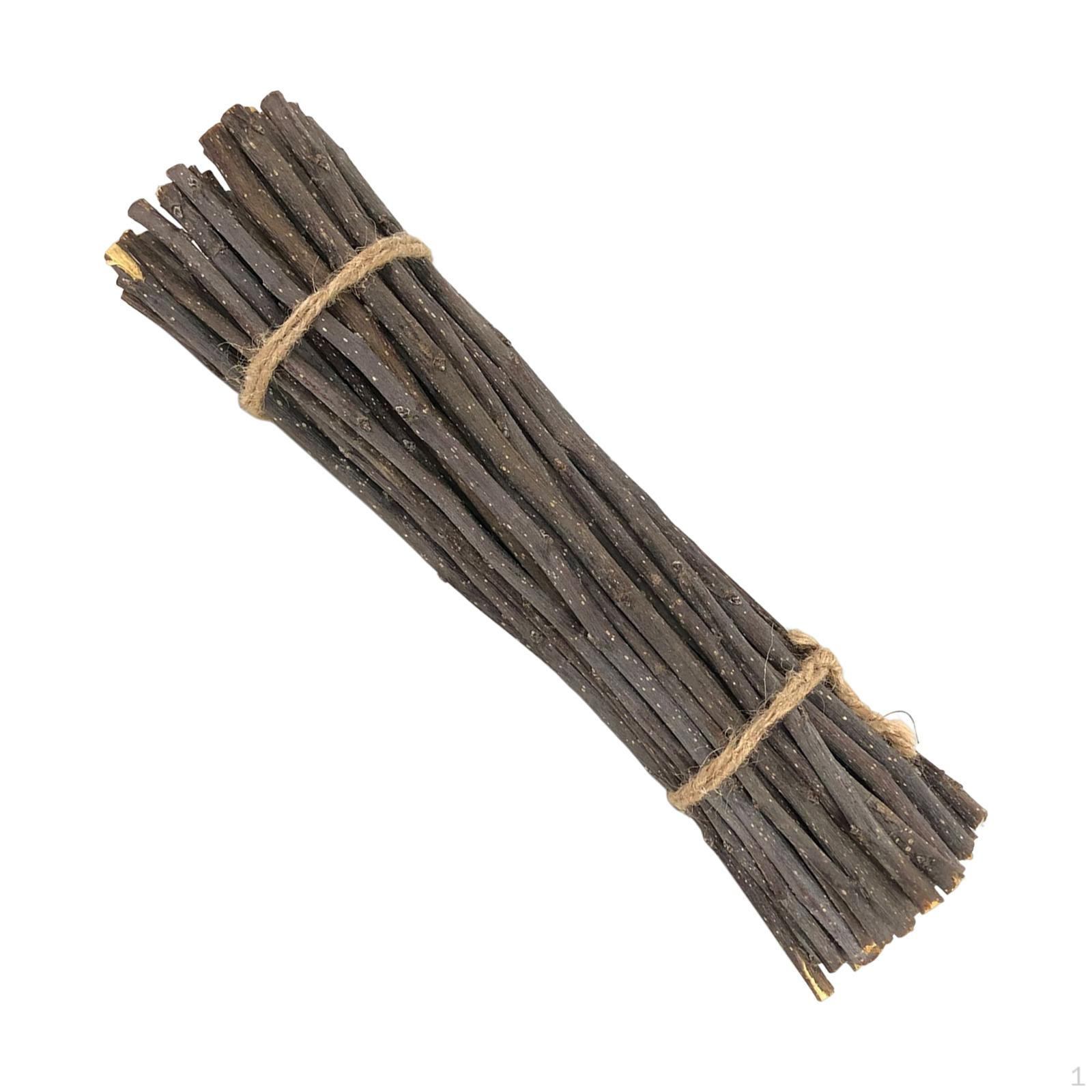 50 штук декоративных веток для рукоделия, поделок, DIY, декора, фотореквизита, проектов, изготовления открыток Apples