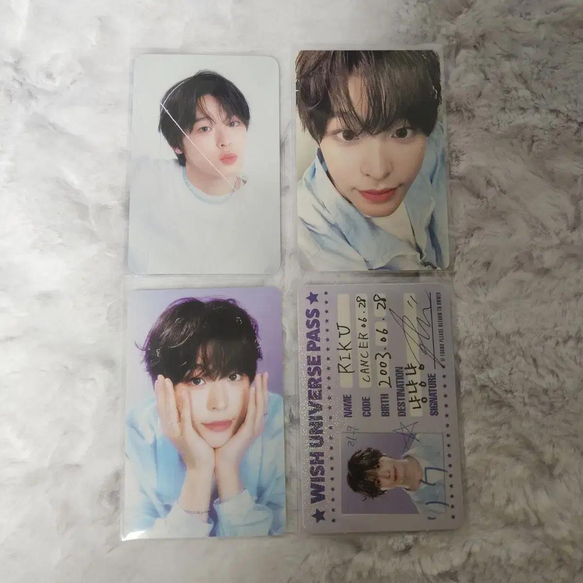 

Ncitywish 2025 Sigriku Photo Card