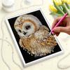 DIY Owl Pearl Art Painting for Adults/Beginners Gift Home Decor Pearl Gem Paintings Picture Arts Craft 30x40cm Without Frame