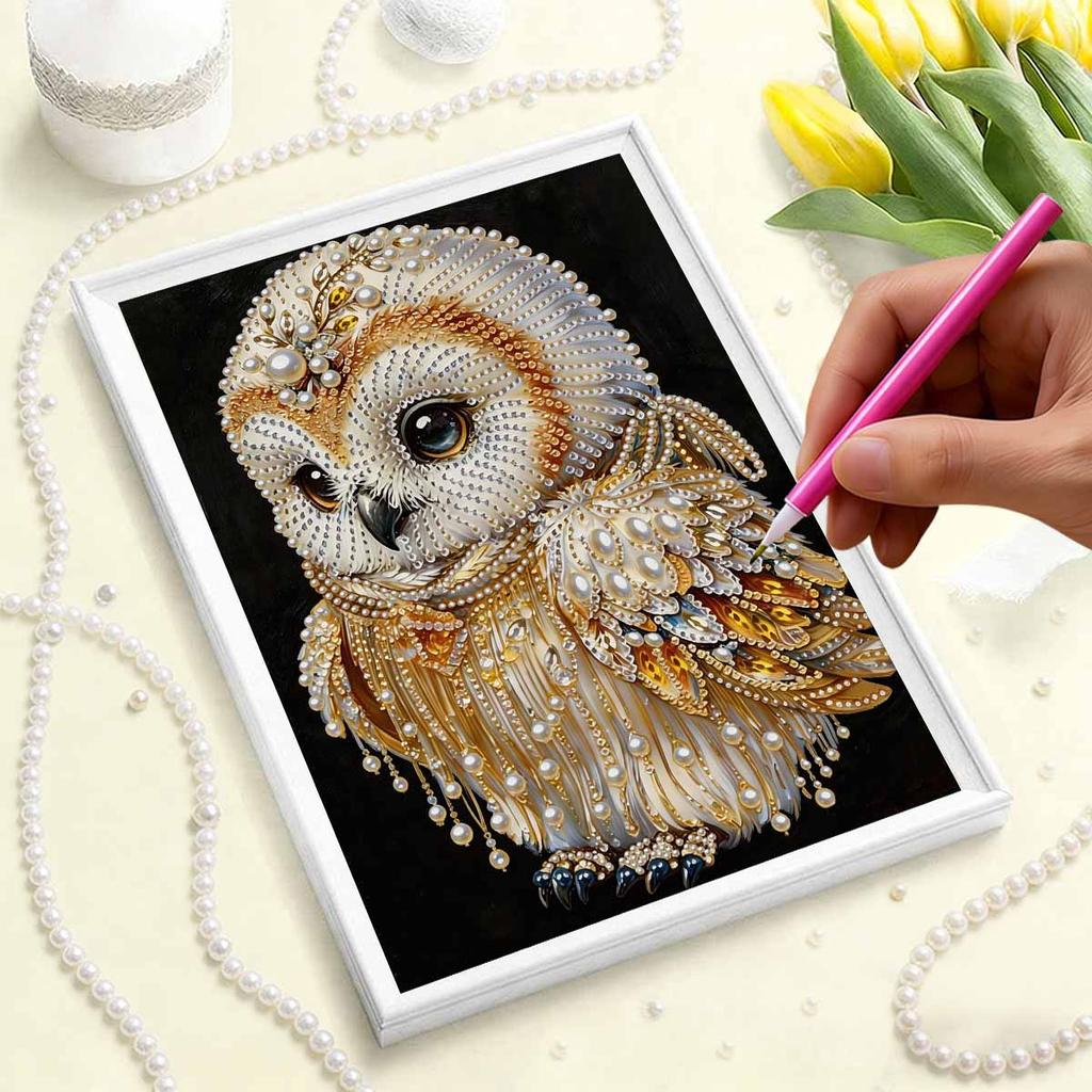 DIY Owl Pearl Art Painting for Adults/Beginners Gift Home Decor Pearl Gem Paintings Picture Arts Craft 30x40cm Without Frame