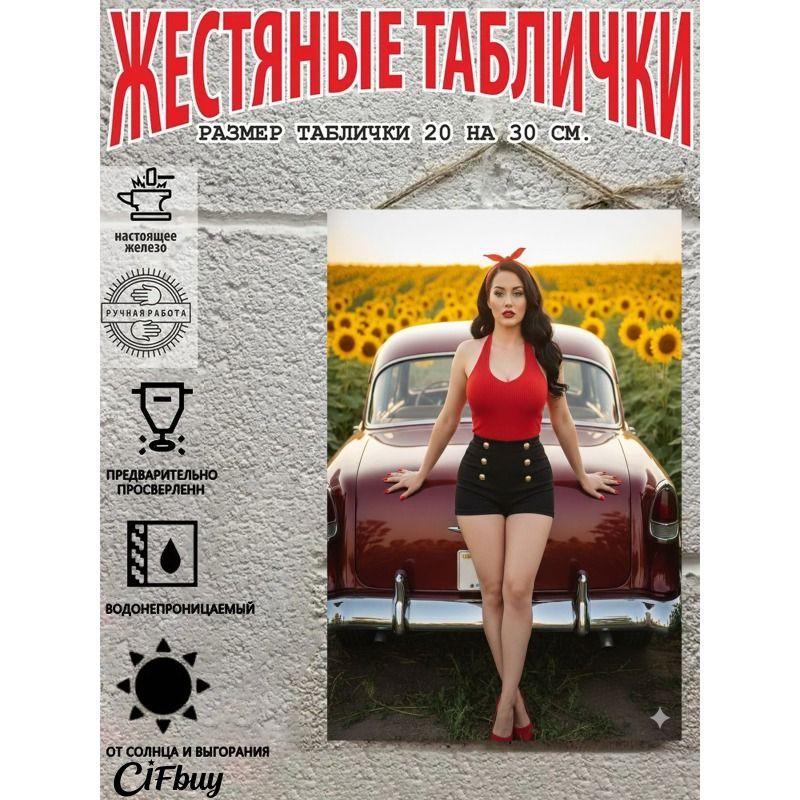 Retro Vintage Metal Sign Pin Up Girl Car Decor Wall Art