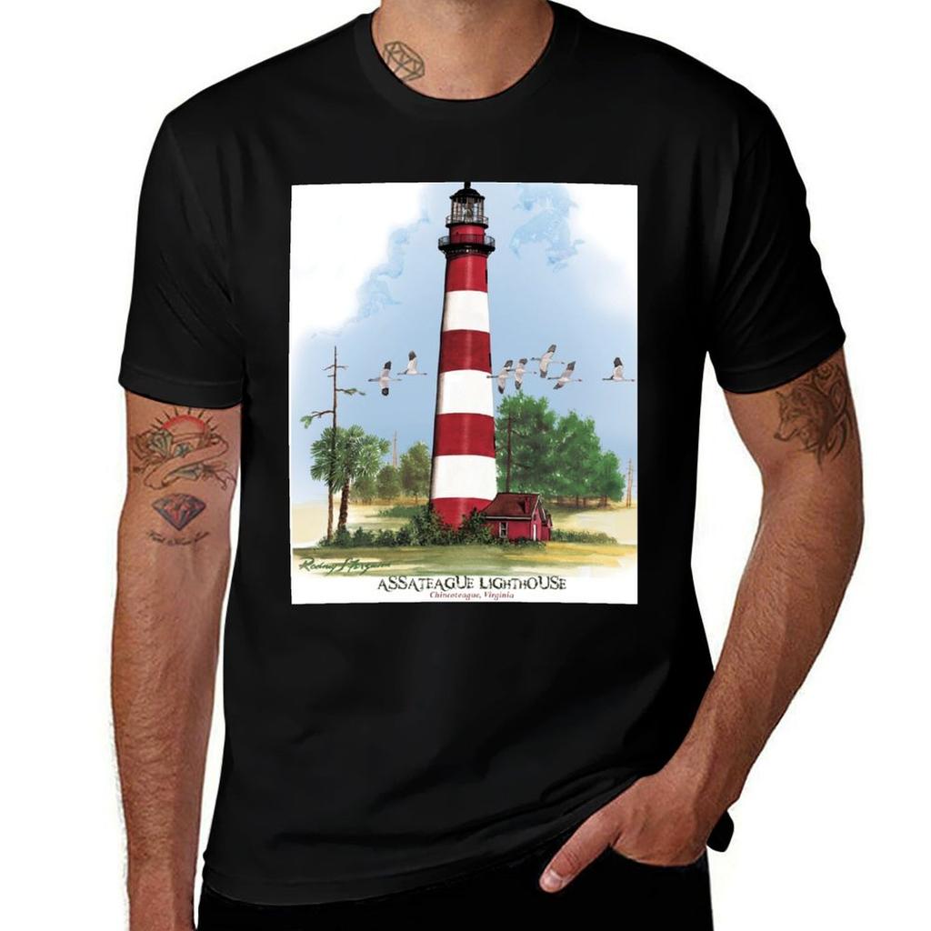 Assateague Lighthouse And Birds Tshirt Casual Trendy Short Sleeve Tshirt