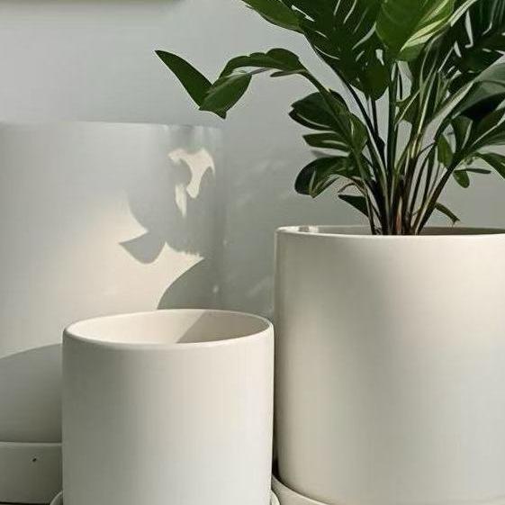 Nordic Minimalist Unglazed White Ceramic Pot with Tray - Breathable Round Terracotta Succulent and Bonsai Planter with Holes