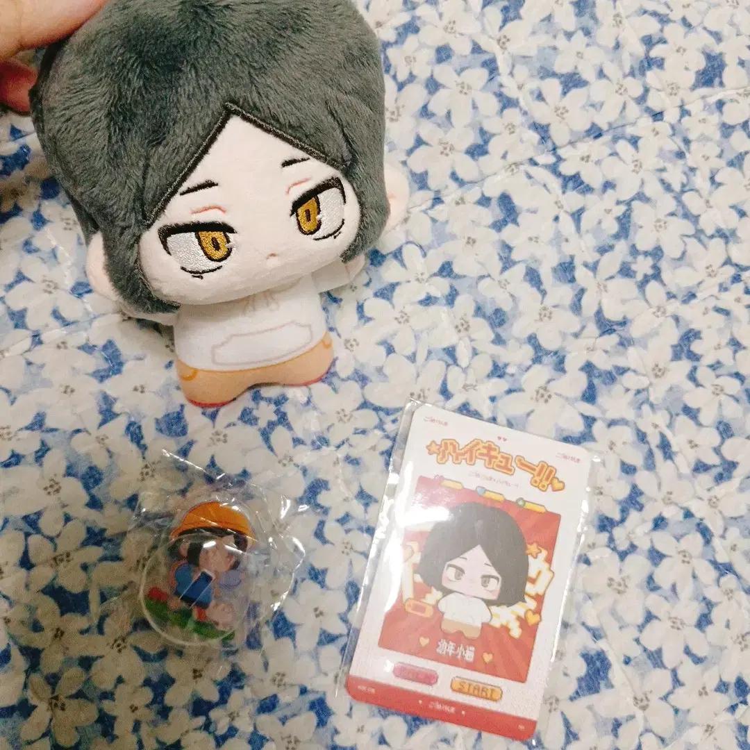 

Haikyu Kozume Kenma Is A Childhood Attribute