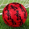 Delta Sigma Theta Size 5 Soccer Ball,Indoor/Outdoor Suitable for Training Matches Tournaments Practice Games Perfect Gift for Fan