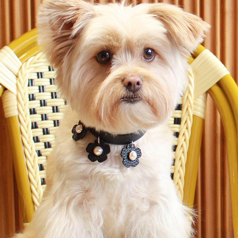 MAISON DE MIU Daisy Perlenkette Schwarz