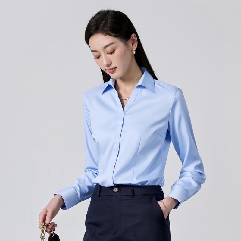 Trolman Women's Wrinkle-Free V-Neck Long-Sleeve Professional Blouse