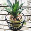 Miling Wrought Iron Floor Flower Stand with Hanging Basket
