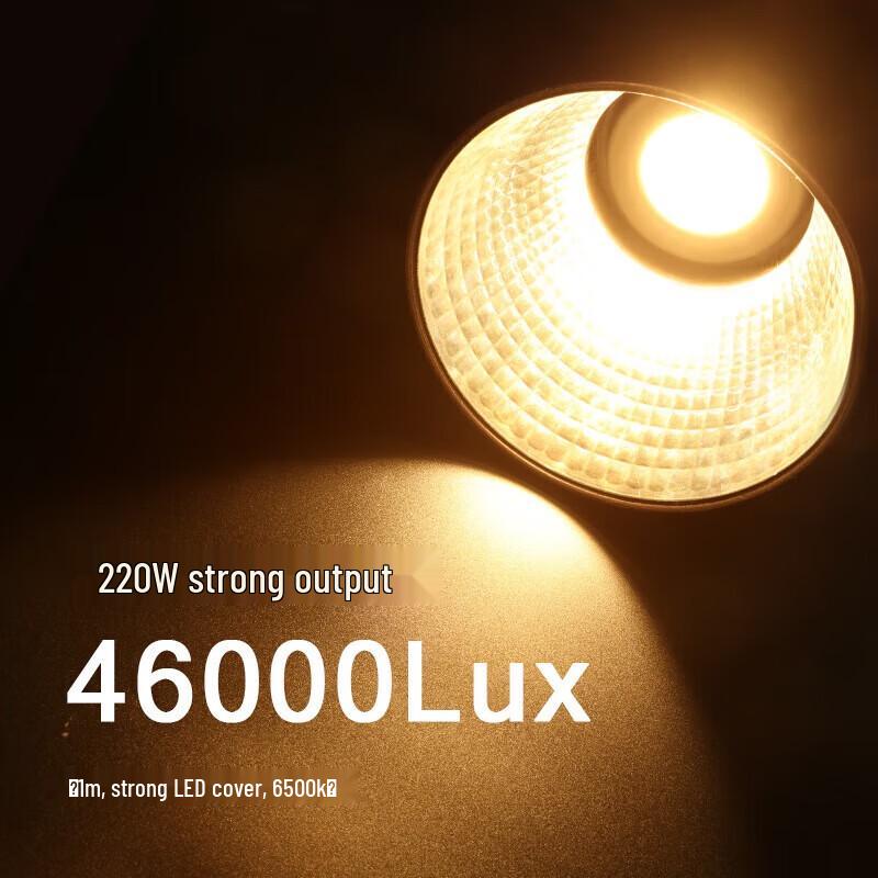 Jinbei JL-220BI LED Video & Photography Light