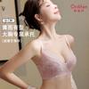 Big Chest Display, Small Lace Bra, 3D Memory Steel Ring Support, Side Retracted Accessory Breast, Anti Sagging