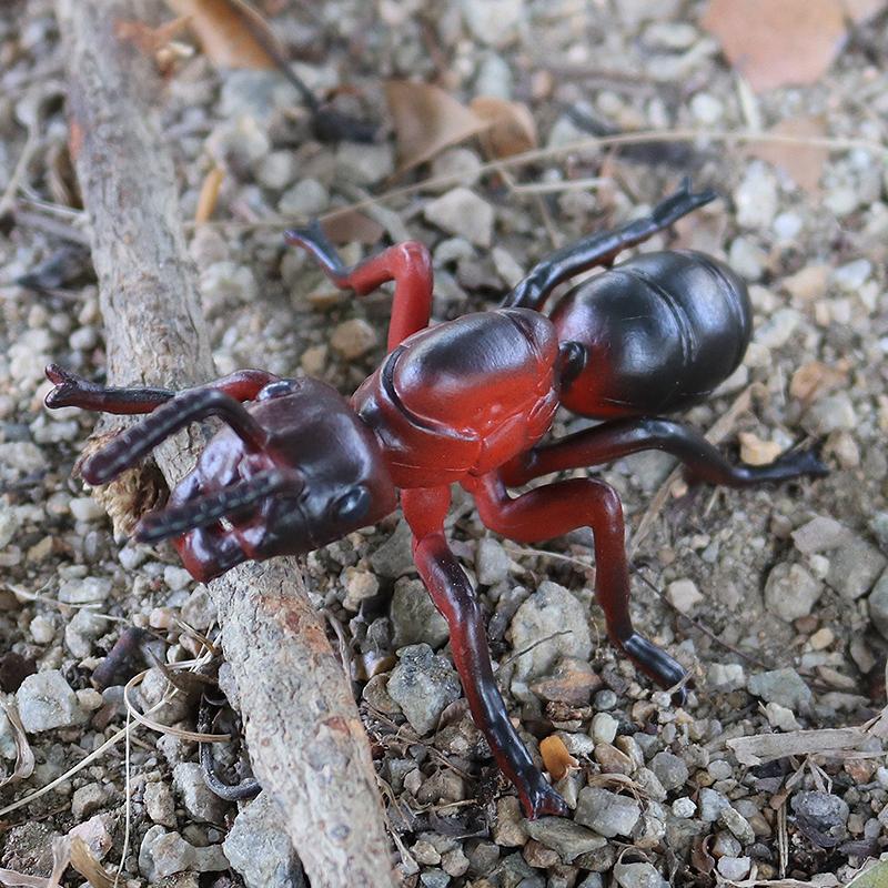 Oenux New Insect Animals Model Butterfly Bee Dragonfly Mantis Ant Snail Action Figures Jouet Collection Decor Kids Education Toy