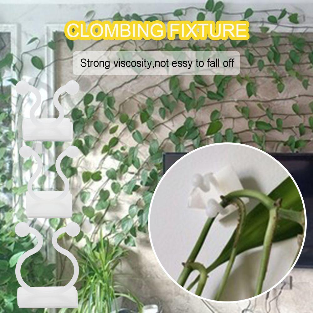 10/50PCS Invisible Climbing Wall Sticky Hook Greenhouse Bracket Wall Vines Rattan Clamp Plant Clip
