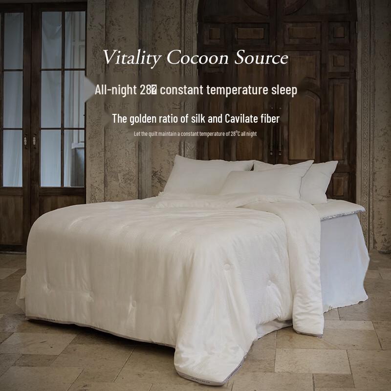 Aimeijia All-Season 3D Cloud Feel Mulberry Silk Quilt