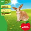 Schleich Farm World Rabbit Figure 13827