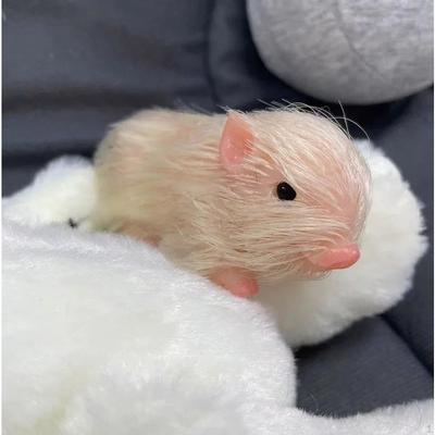 Silicone Pig Newborn Doll Baby Piggy Mini Ornament for Children Kids