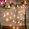 LED Pearl Star & Moon String Lights - Colorful Outdoor Tent & Camping Decor