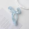 Korean Versatile Shiny Claw Clip: High-End Hair Accessory for Women