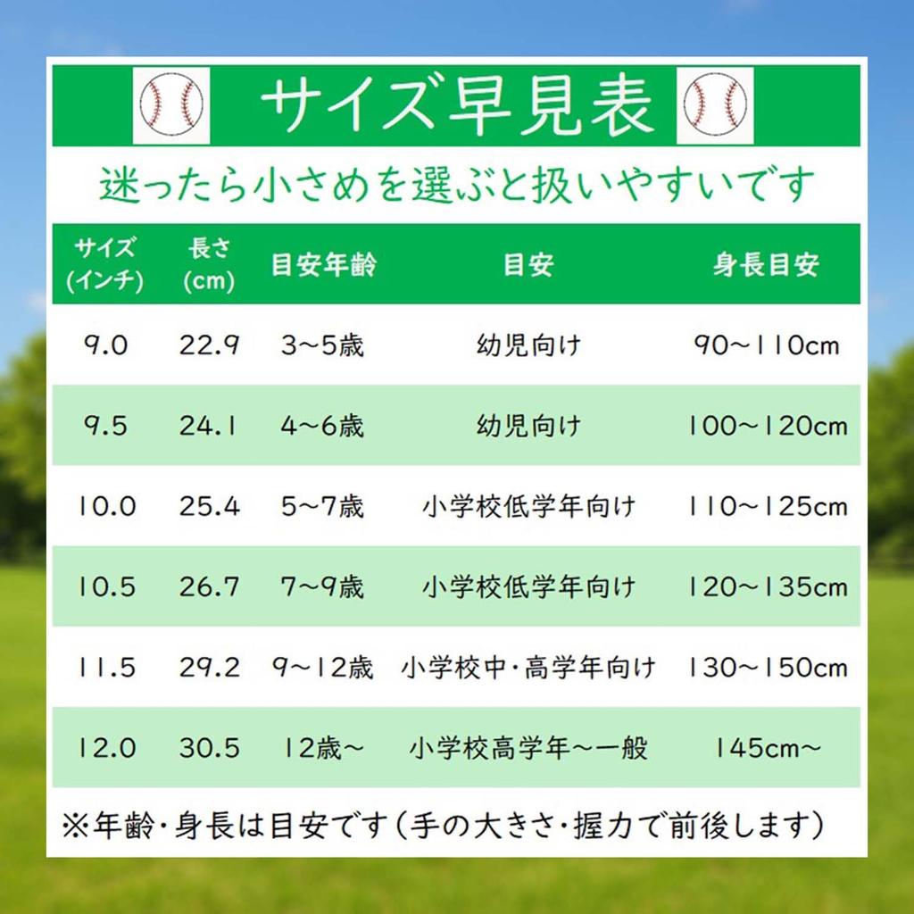 ZETT Catch Ball with Shock Absorbing Black and BDG3522A Glove, Beginner's, Pads, 12-inch, Right-Handed Throw, White,