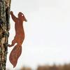 Metal Squirrel Garden Stake, Rustic Iron Animal Silhouette for Outdoor Yard Patio Decor, Vintage Wildlife Lawn Art