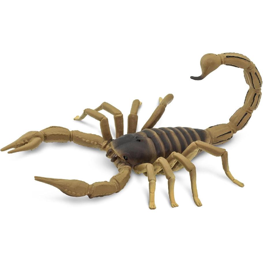 Safari Ltd. Scorpion Figurine - Realistic 7.5" Arachnid Figure - Educational Toy for Boys, Girls, and Kids Ages 3+
