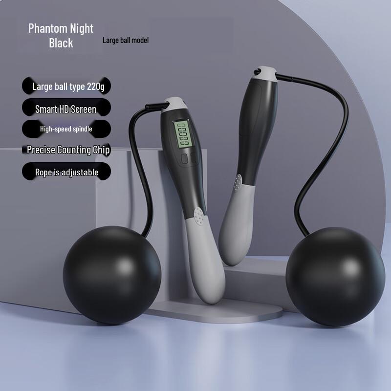 Longchan Smart Weighted Jump Rope