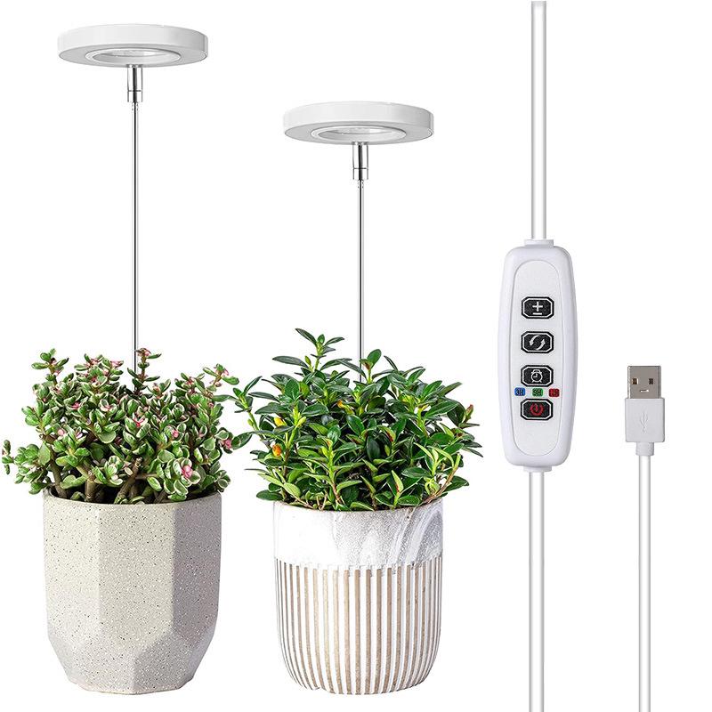 LED Angel Ring Grow Light: Retractable Full Spectrum Red/Blue for Succulents & Flowers - Includes Timer