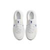 Nike Legend Essential 3 Next Nature Platinum Tint Court Blue Men Sneakers White Black DM1120-013