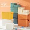 Modern Plastic Storage Bin With Lid For Home Office Organizing And Toy Collection