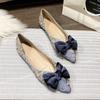 Pointed Toe Low Heel Elegant Blue Party Shoes for Women Summer 2025 High Quality Fashion Beau Today Price Non Slip Woman Flats