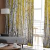 Aspen Trees Autumn Woods Window Curtains For Living Room Bedroom Kitchen Chiffon Sheer Window Treatment