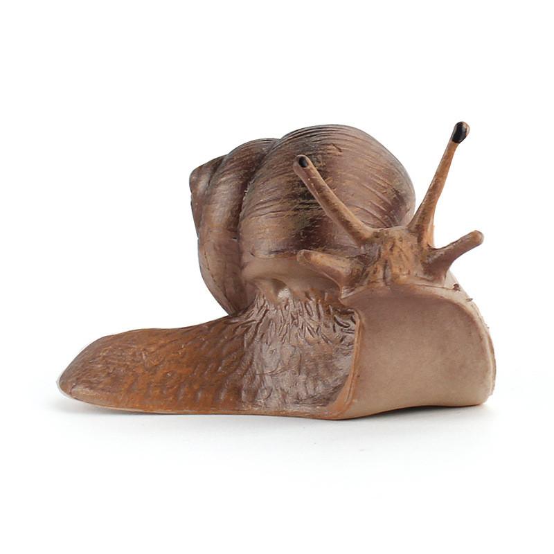 

Model Snail Pvc Landscape Decor Realistic Static Garden Ornament For Outdoor