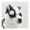 BH7512 HANSA Siberian Husky Pup 43