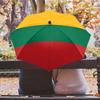 Lithuania National Flag Yellow Green Red Horizontal Stripes Print Auto Folding Umbrella Waterproof Windproof Compact Travel Umbr