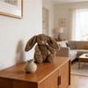 Plush Toys, Cute And Perfect Birthday Gifts For Friends And Classmates, Graduation Gifts