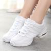Women's Jazz Lace-Up Trainers Mesh Anti-Slip Thick-Sole Dance Shoes Breathable Cushioned Sole Sports Walking Dance Shoes