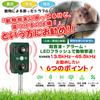 Besince Animal Repellent Set of Detection Bird and Pest Solar USB PIR IPX4 Pest Prevents Animal Cat Bird and Animal 5 Infrared Two Ultrasonic Outdoor