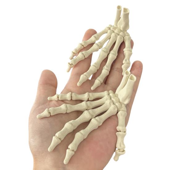 Halloween Skjeletthånd 3D-printet Plast Menneskehånd Beinmodell Skumle Halloween Triks Rekvisitter for Borddekking Festartikler Spøkelseshus Hjemmedekor