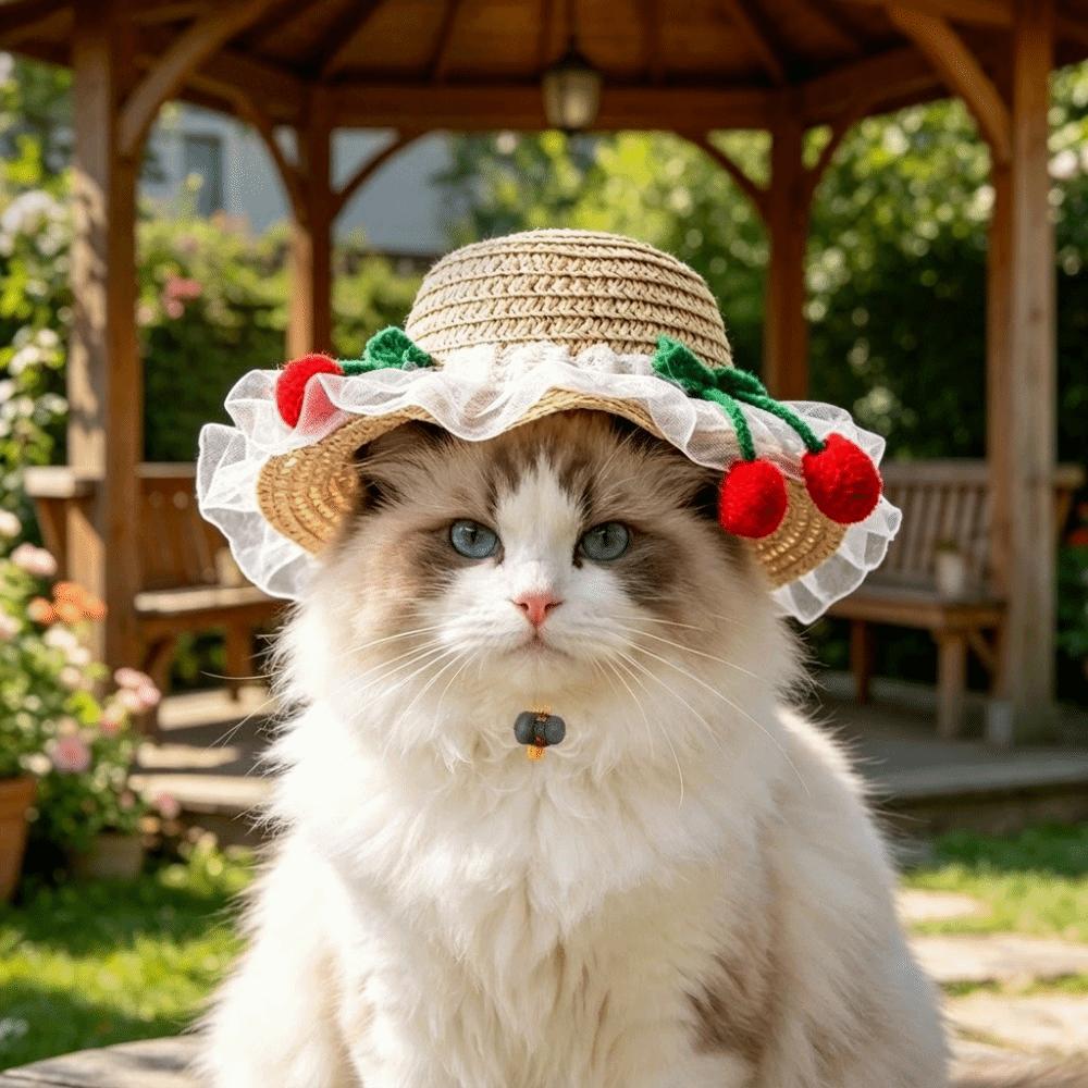 Adjustable Pet Sun Hat Lace Decor Dog Sun Protection Cap Fashion Cat Sunshade Hat Walking Hiking
