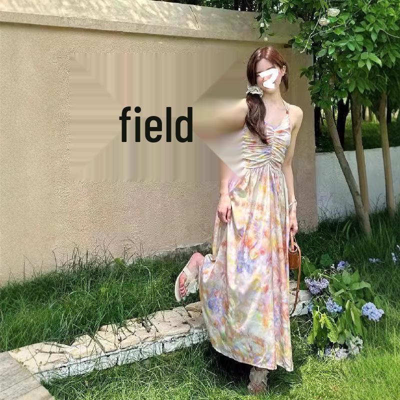 

French Retro Floral Halter Neck Backless Long Dress for Women s Summer Vacation Small