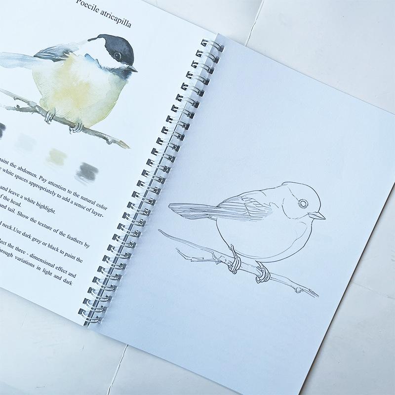 Beginner Watercolor Workbook Painting Kit – 12 Colors Paint Set With Brush Art Supplies For Adults & Teens