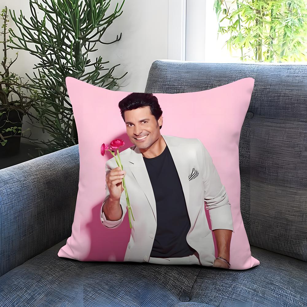 Fashion C-CChayanne Cushion Cover Comfortable Reversible Pillow Cover Ideal for Car Sofa Bedroom & Beyond