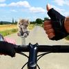 Shaking Cats Bobblehead Car Dashboard Decorations Lovely Cats Car Accessories,Dancing Cats Ornaments Cycling Home Decors