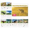 Monthly Layout Wall Calendar Wall Hanging Dogs Pooping Calendar New Agenda Schedule Organizer  Home