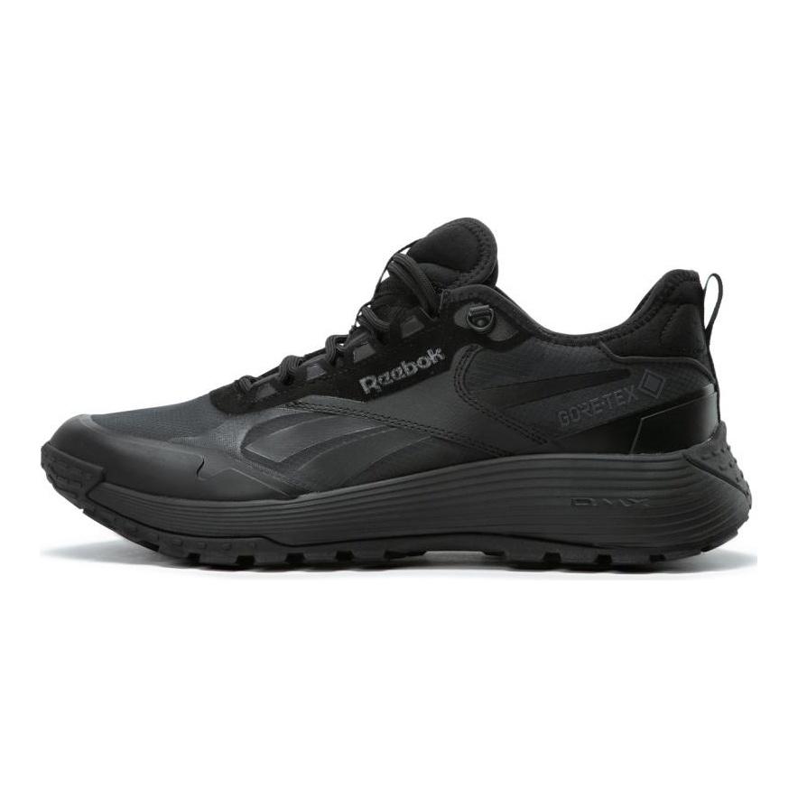 Reebok Dmx Trail GORE TEX 'Black Pure Grey' Sneakers 100074961